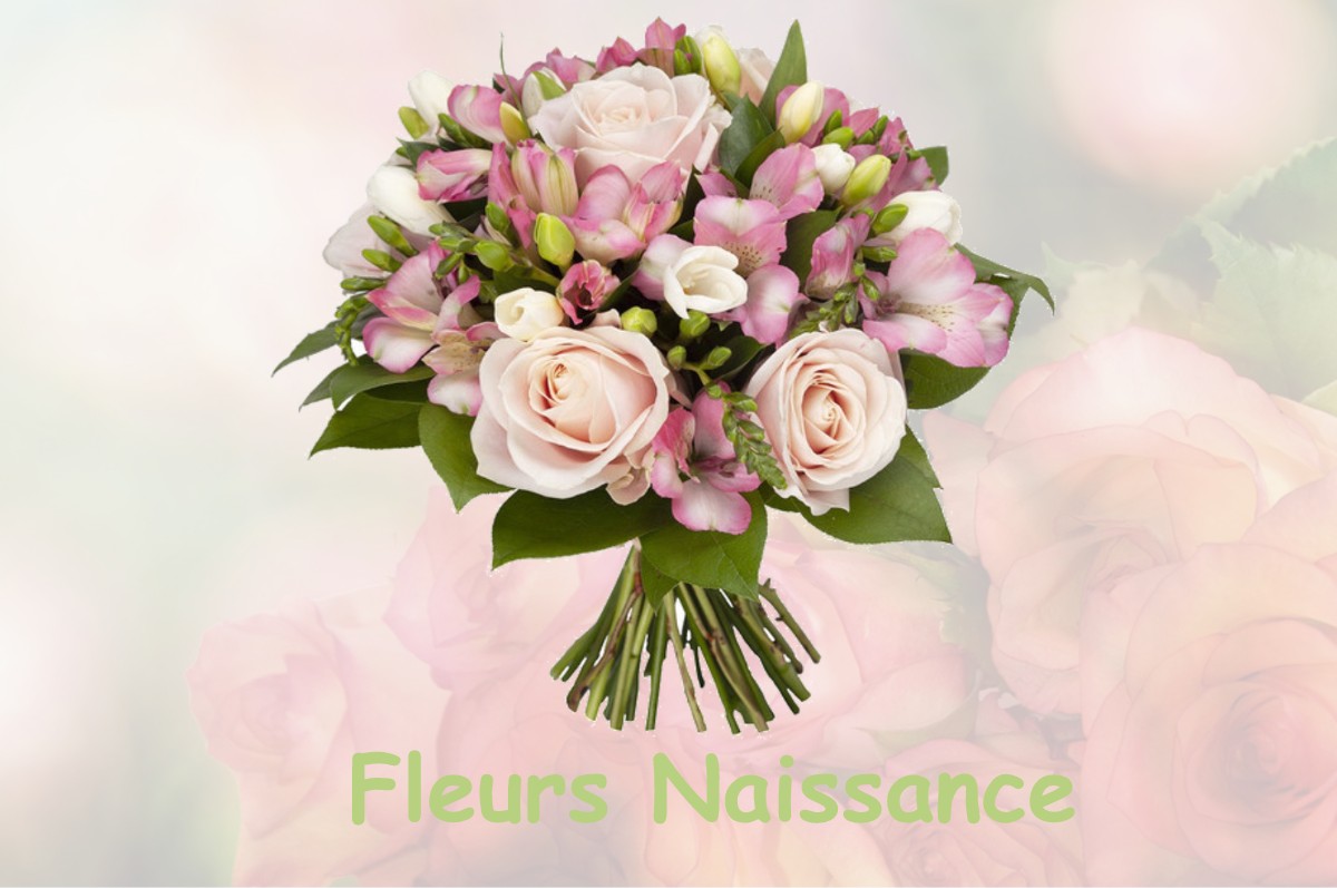 fleurs naissance THODURE