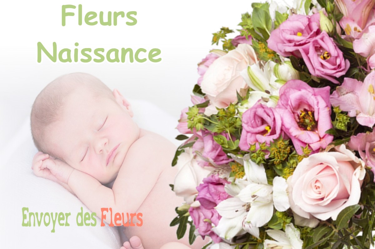 lIVRAISON FLEURS NAISSANCE à THODURE